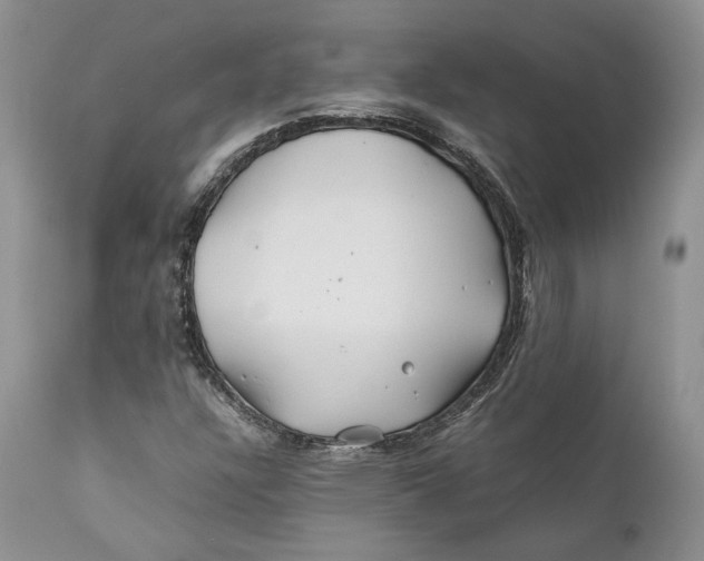 X0000110931304200907091511