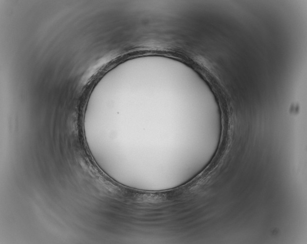 X0000110931307200907091511