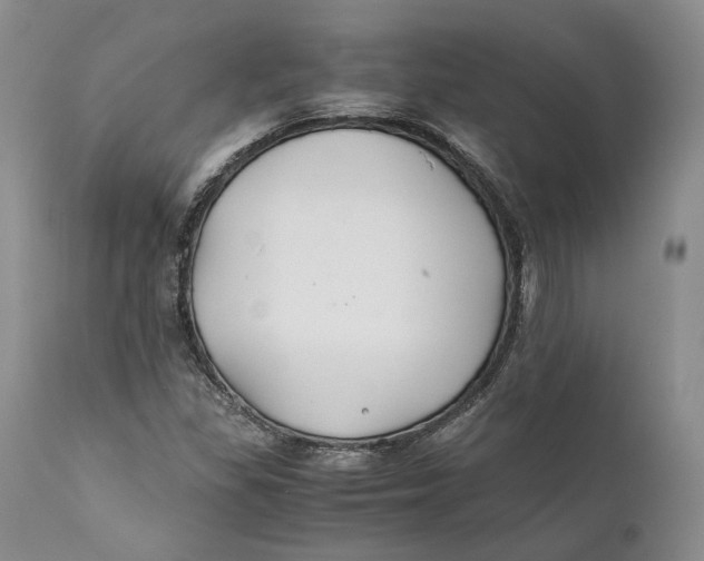 X0000110931309200907091511