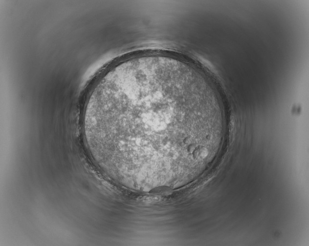X0000110931310200907091511