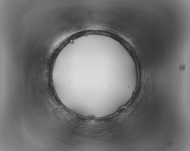 X0000110931311200907091511