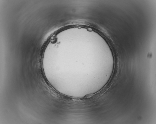 X0000110931312200907091511
