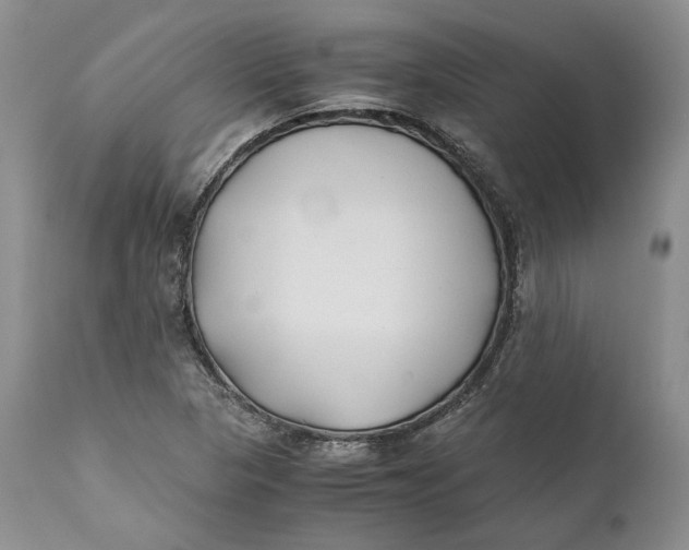 X0000110931313200907091512
