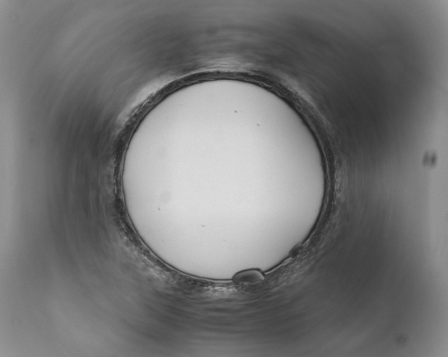 X0000110931315200907091512
