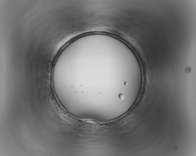 X0000110931316200907091512