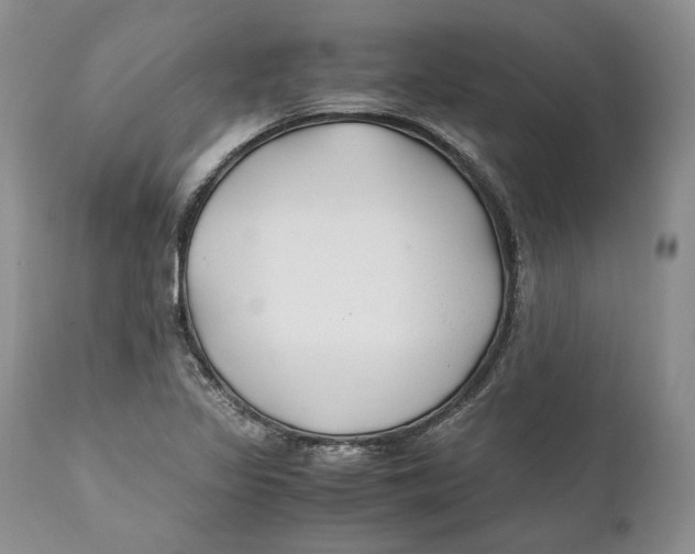 X0000110931317200907091512