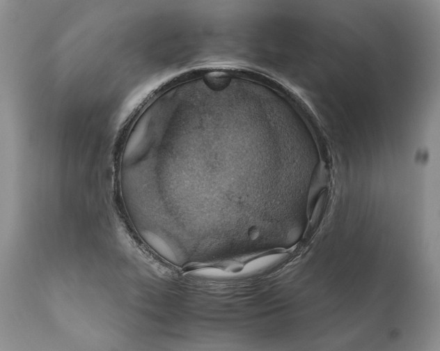 X0000110931319200907091512