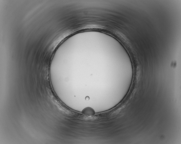 X0000110931321200907091512