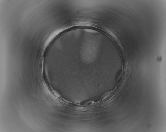 X0000110931323200907091512