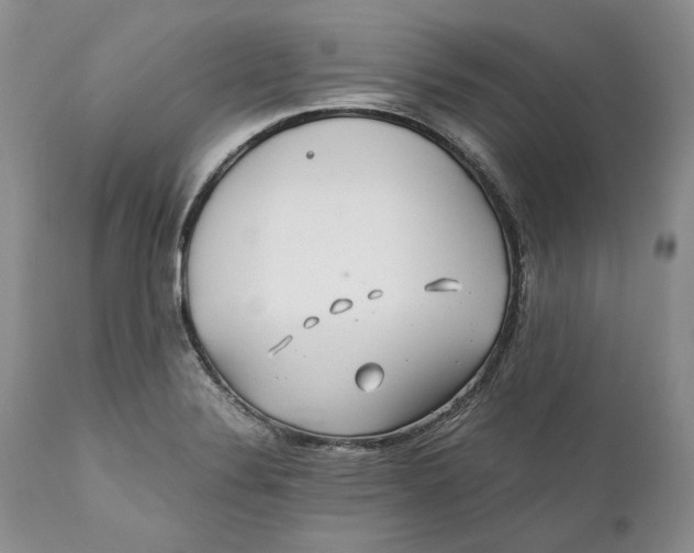 X0000110931324200907091512