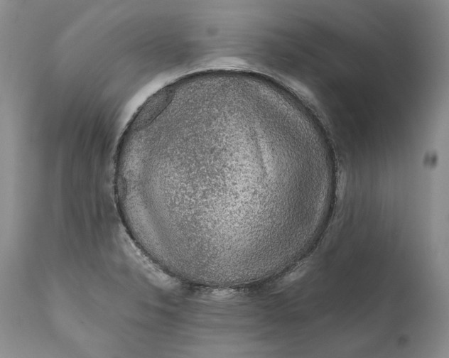 X0000110931326200907091512