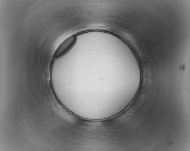 X0000110931328200907091512