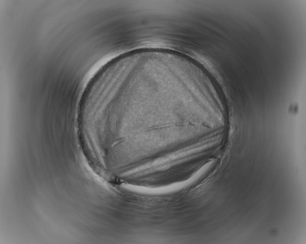 X0000110931331200907091512