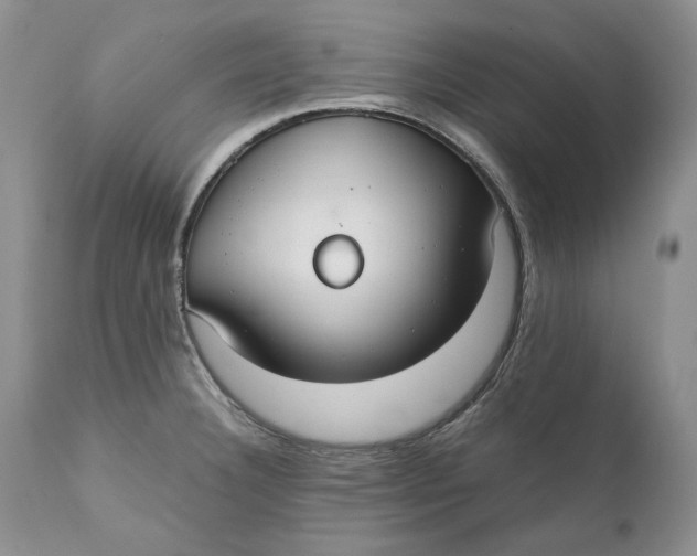 X0000110931332200907091512