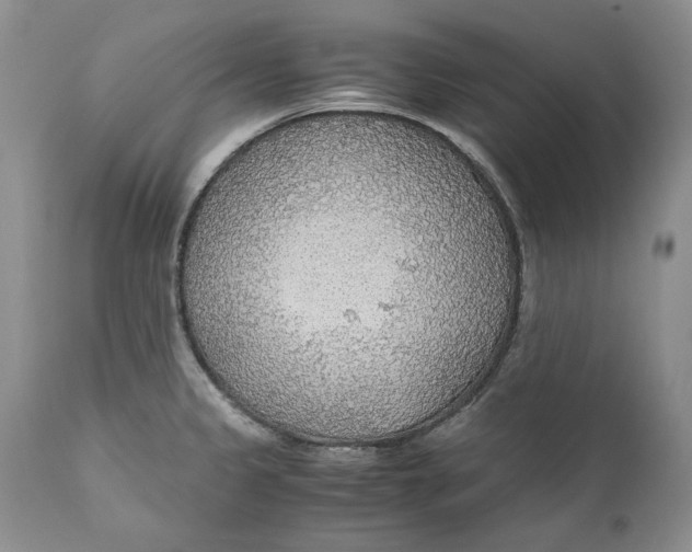 X0000110931333200907091512
