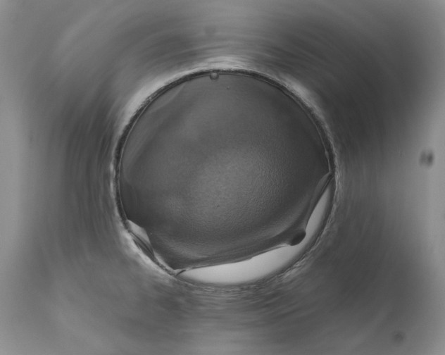 X0000110931334200907091512
