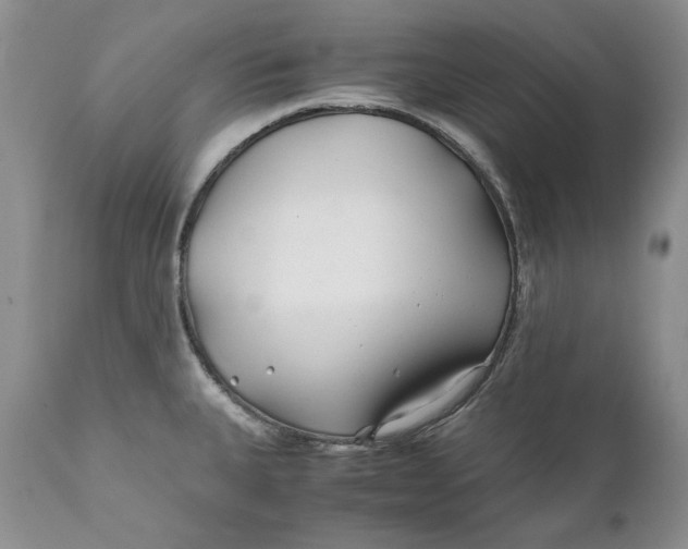 X0000110931335200907091512