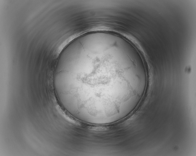 X0000110931337200907091512