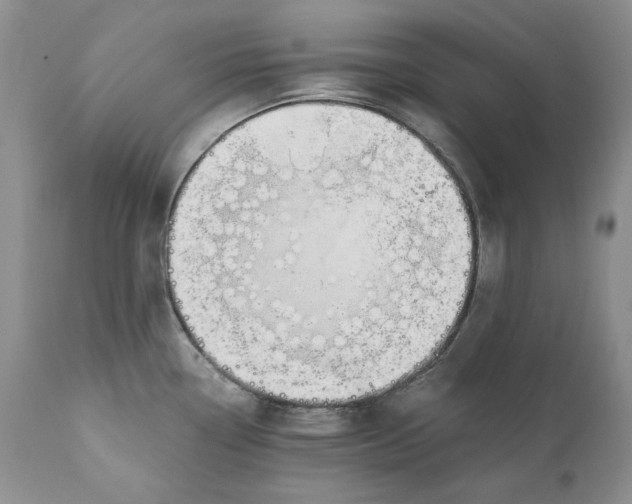 X0000110931338200907091512