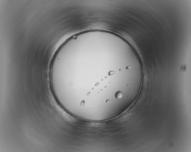 X0000110931339200907091512