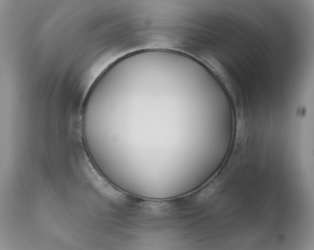 X0000110931340200907091512