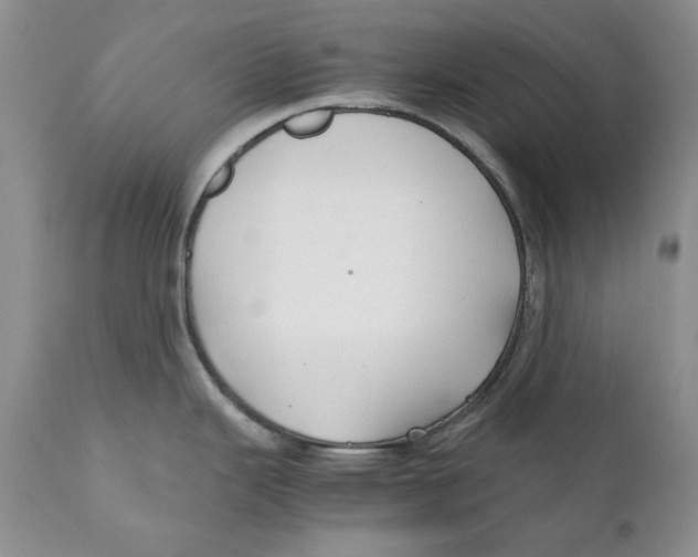 X0000110931343200907091512