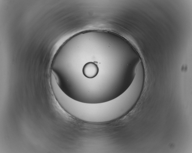 X0000110931344200907091512