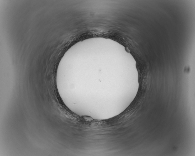 X0000110931345200907091511
