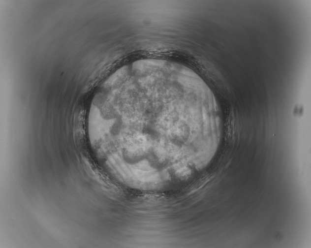 X0000110931346200907091511