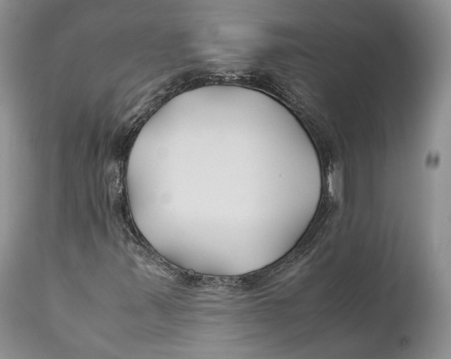 X0000110931347200907091511