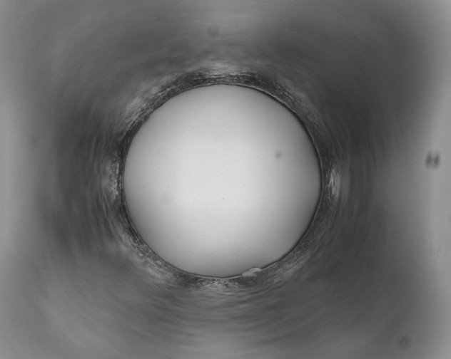 X0000110931348200907091511