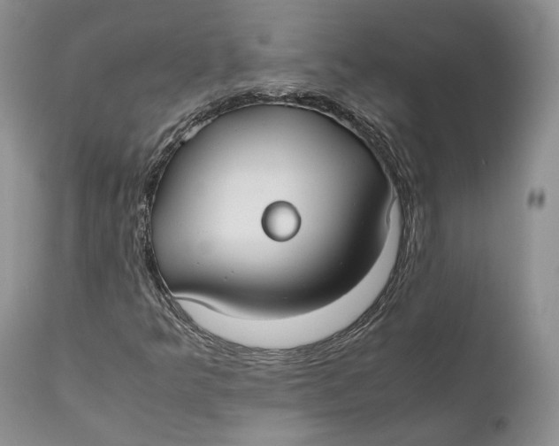 X0000110931349200907091511