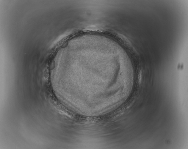 X0000110931350200907091511