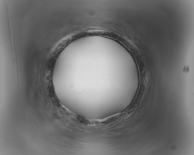 X0000110931351200907091511