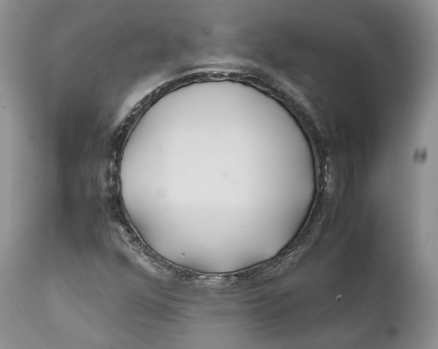 X0000110931352200907091511