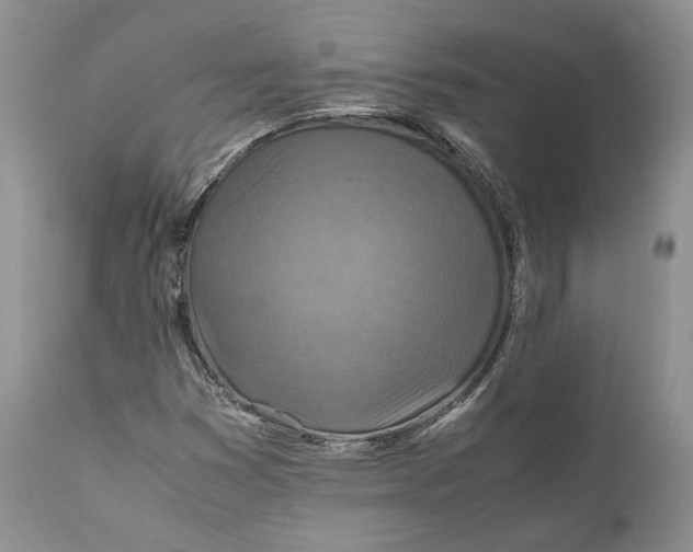 X0000110931353200907091511