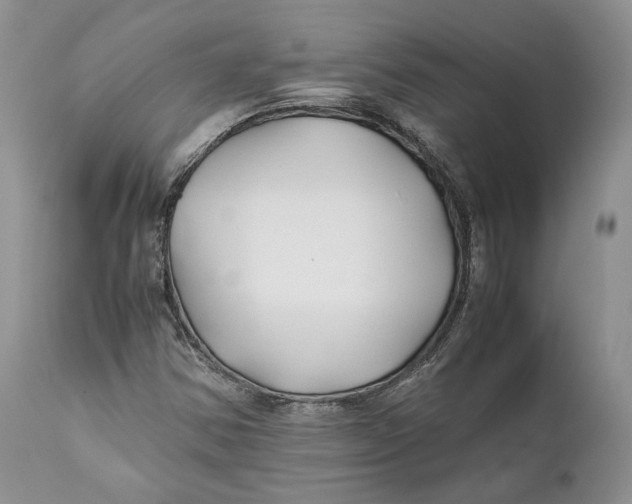 X0000110931354200907091511