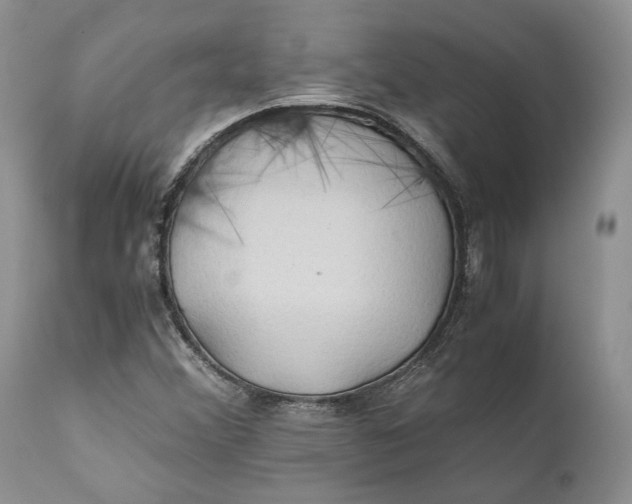 X0000110931356200907091511