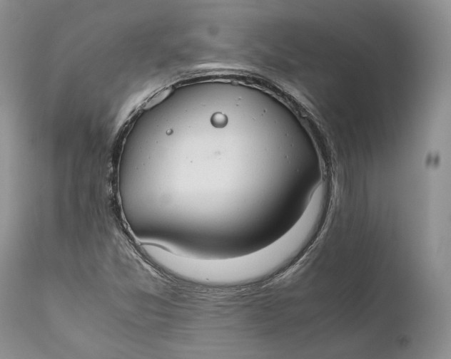 X0000110931357200907091511