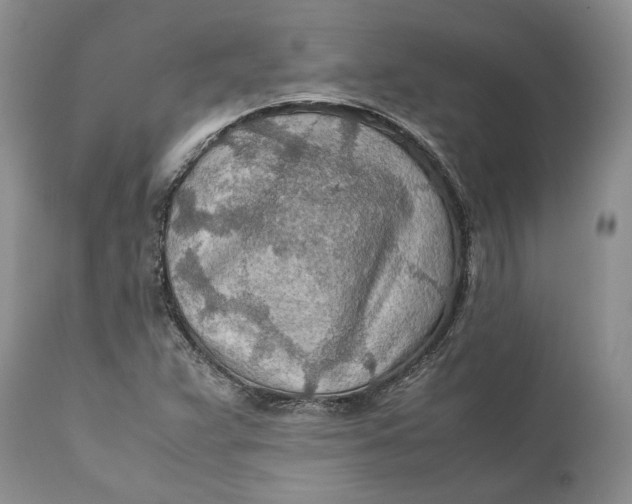 X0000110931359200907091511