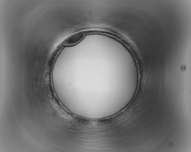 X0000110931360200907091511
