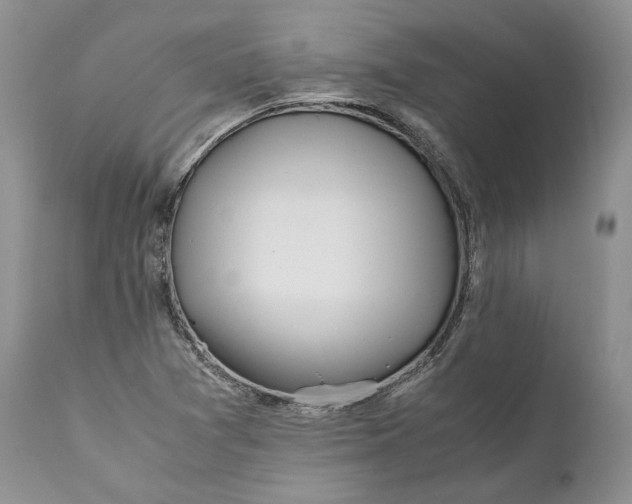 X0000110931361200907091511