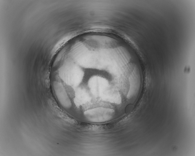 X0000110931362200907091511