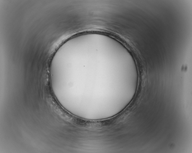 X0000110931363200907091511
