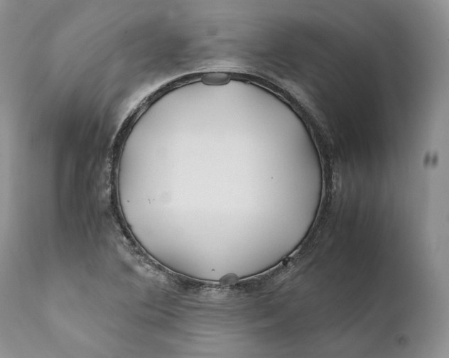 X0000110931364200907091511
