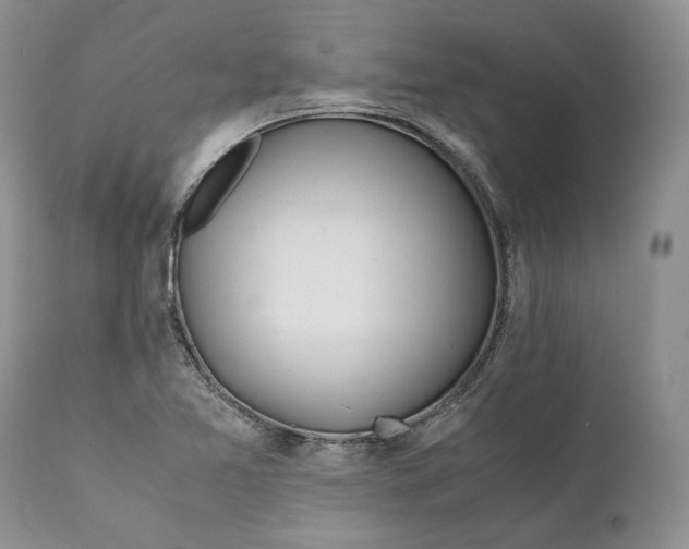X0000110931365200907091511