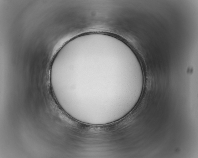 X0000110931366200907091511
