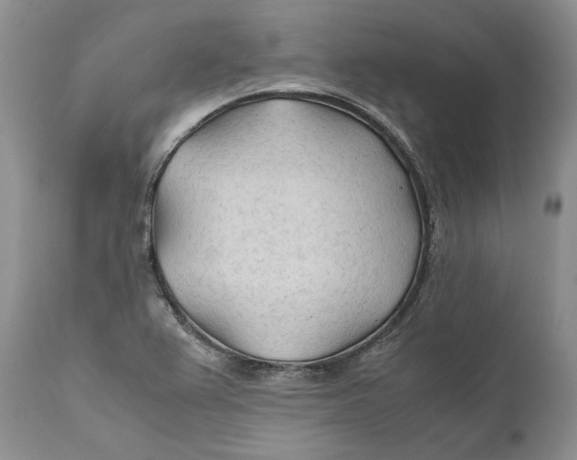 X0000110931367200907091511