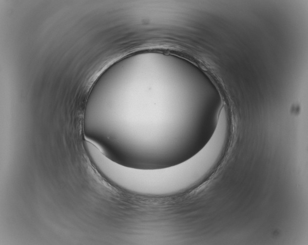 X0000110931369200907091511