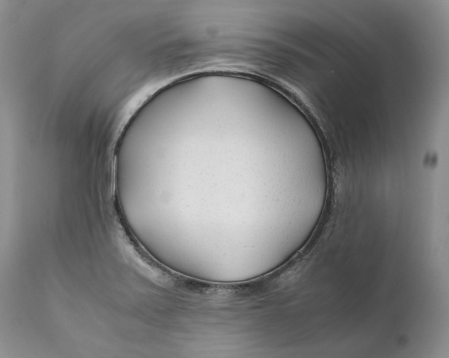 X0000110931371200907091511